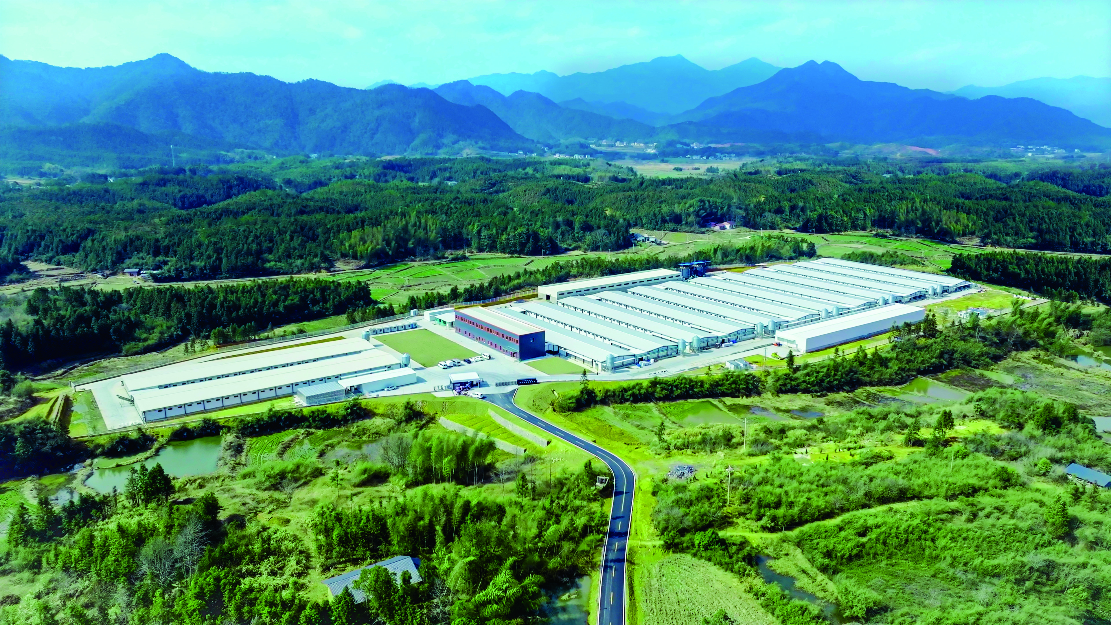 新春家書｜根深則葉茂，心定則路遠(yuǎn)